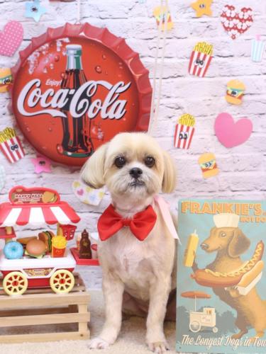 20230909ラルクくん